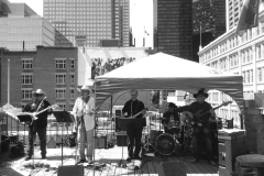 rooftopstampedecopy