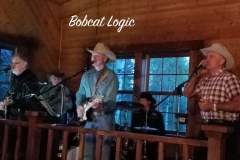 BobcatLogic1copy